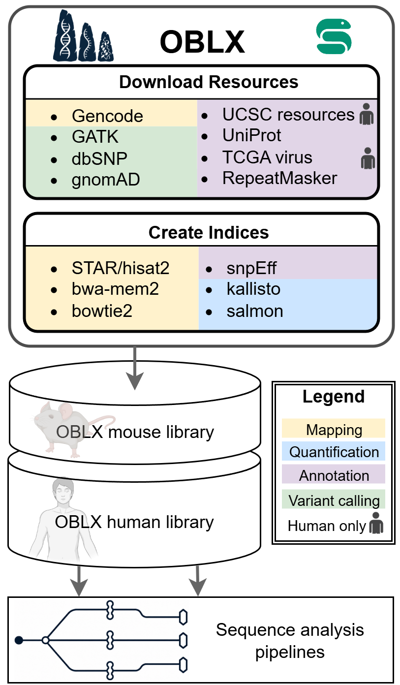 Brief visual description of OBLX, showing which resources are downloaded, which tool indices are created, for which purpose, and if that is for human usage only.